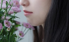 原来是美男全集下载